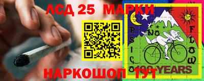 шишки Гагарин