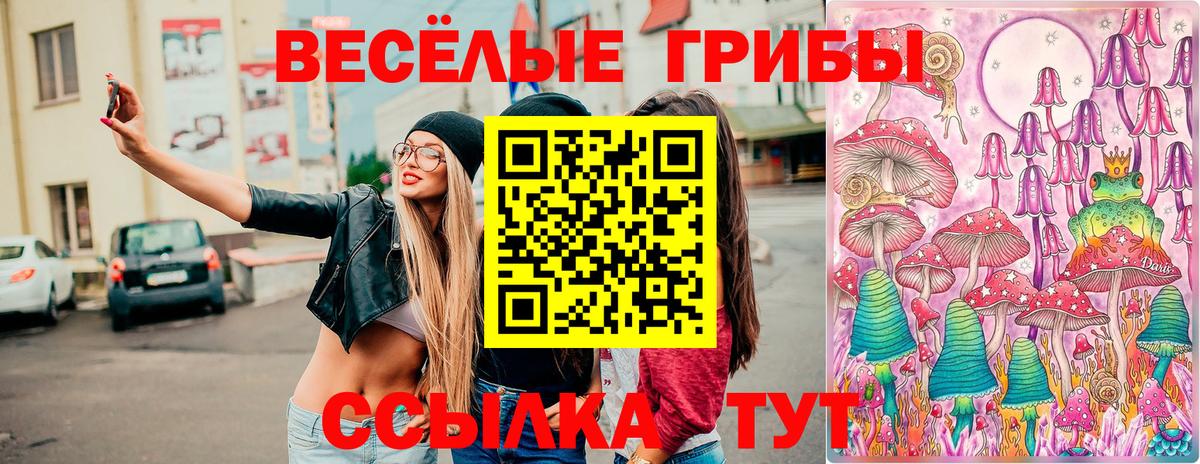 Псилоцибиновые грибы GOLDEN TEACHER Медногорск